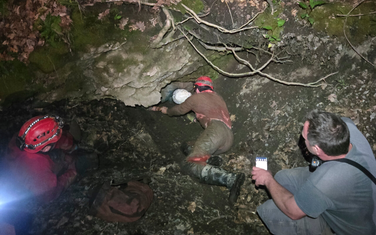 Brooklyn Man Wedged in Upstate New York Cave Is Rescued After 6 Hours