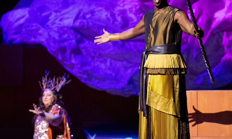 Ryan Speedo Green in ‘Die Walküre’: Preview of the Met Opera