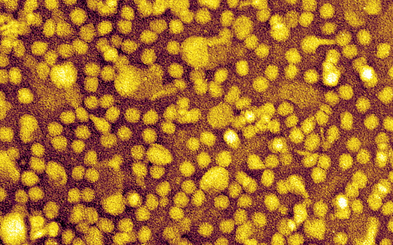One-and-Done Heart Disease Prevention? Scientists Show It May Be Possible.