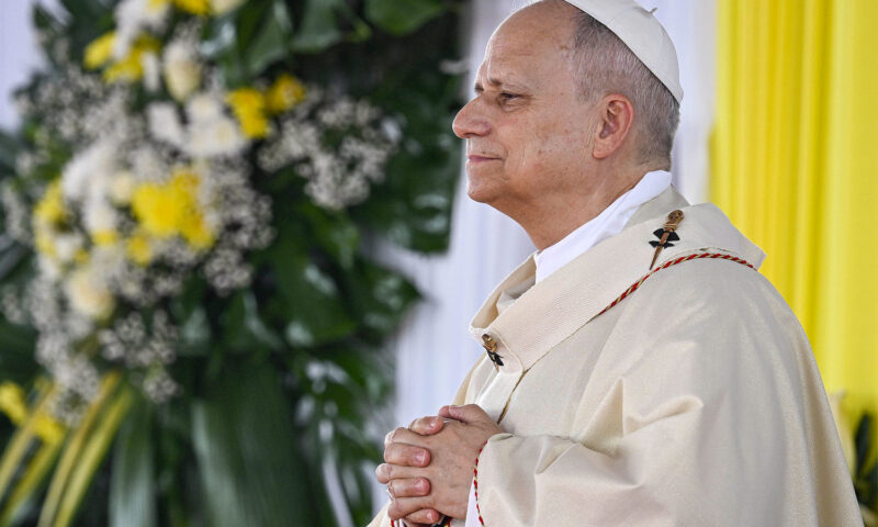Tech titans mostly silent after Pope Leo’s warning about risks of AI