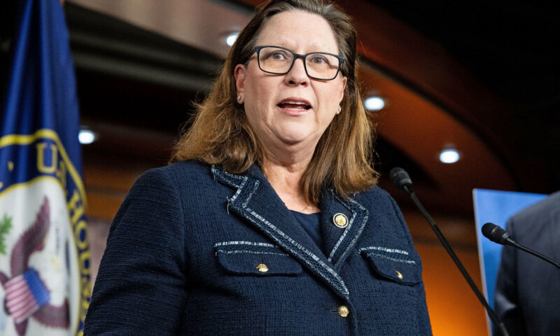 Rep. Julie Johnson unseated in Texas Democratic primary by predecessor Colin Allred