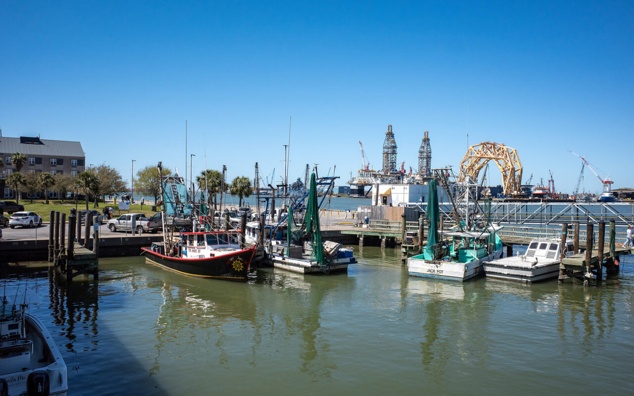 Teen bit by shark while boating with father off Texas coast
