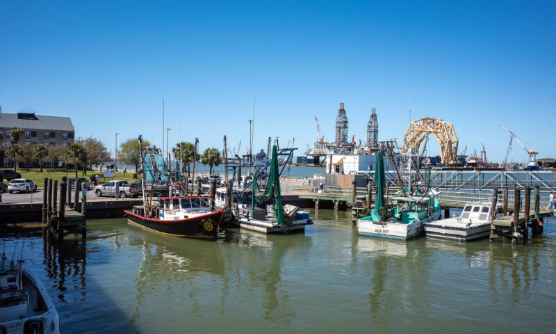 Teen bit by shark while boating with father off Texas coast
