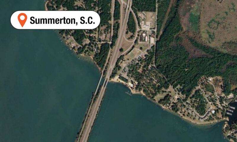 Woman killed by flying patio umbrella while dining at South Carolina restaurant