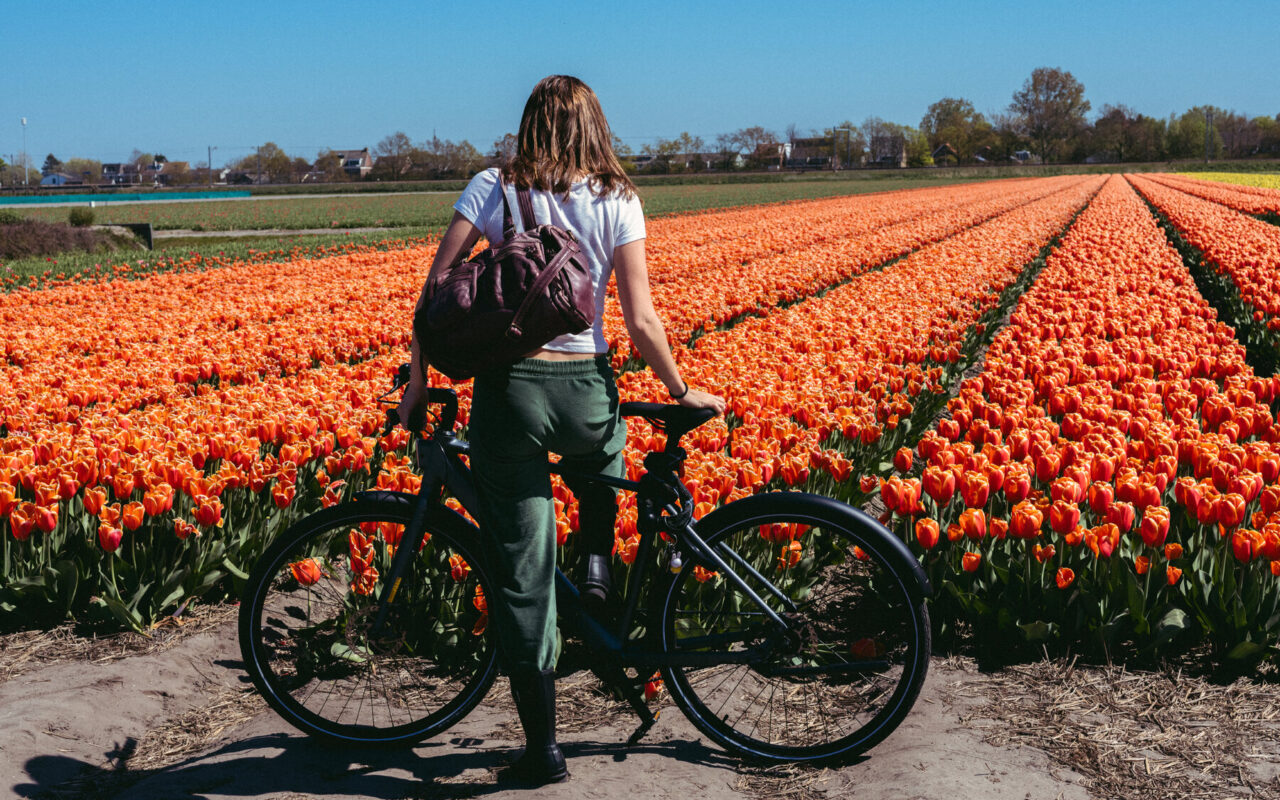 Cycling in the Dutch Countryside, With a Riverboat as a Base