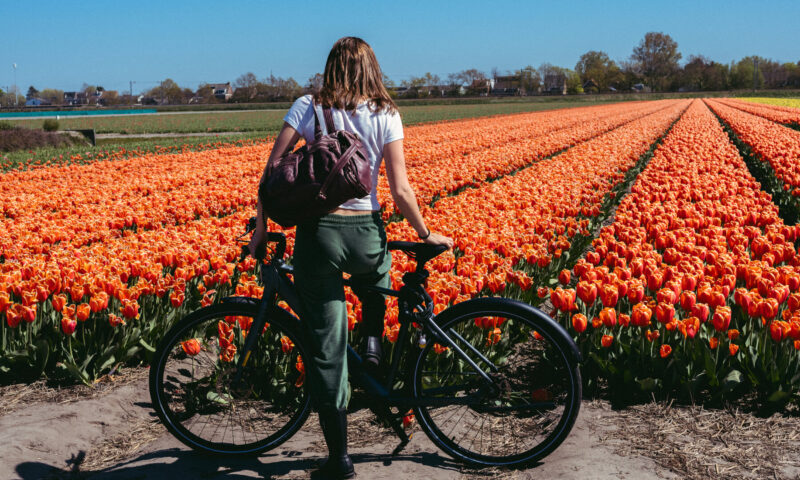 Cycling in the Dutch Countryside, With a Riverboat as a Base