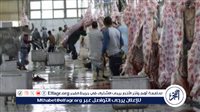 تشغيل تجريبي لمجزر كلح الجبل بأسوان استعدادًا لعيد الأضحى ضمن خطة تطوير المجازر الحكومية