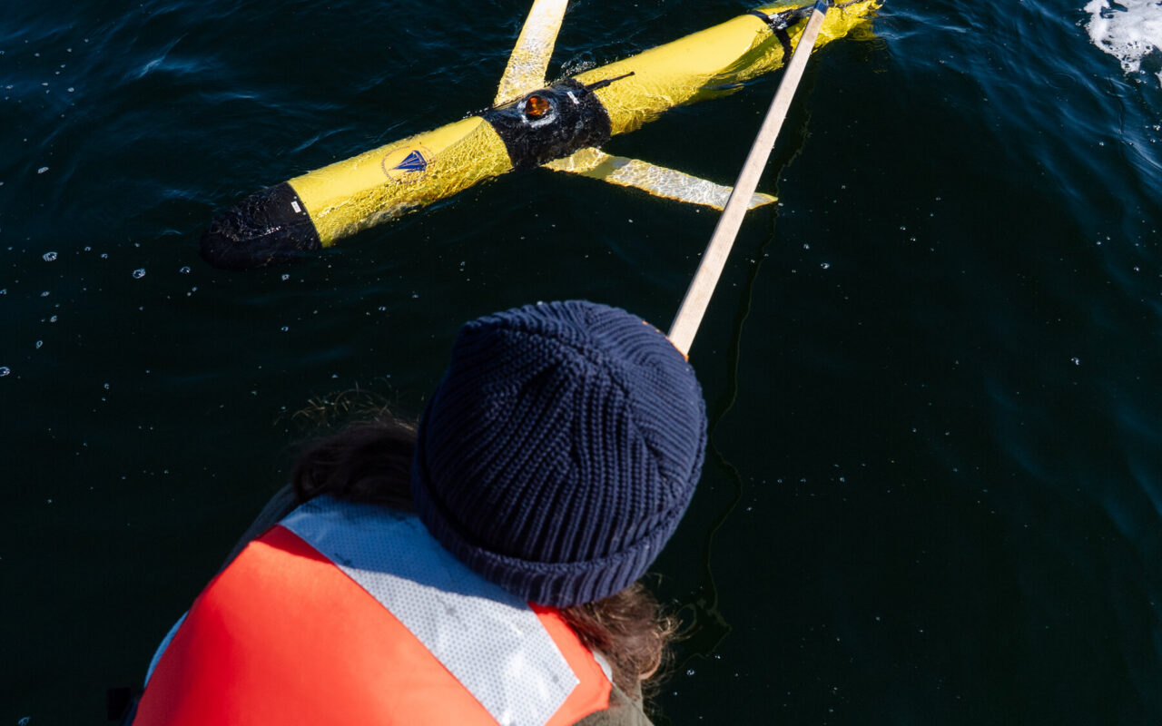 Can New Technology Help Save North Atlantic Right Whales?
