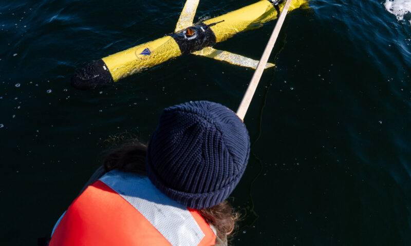 Can New Technology Help Save North Atlantic Right Whales?