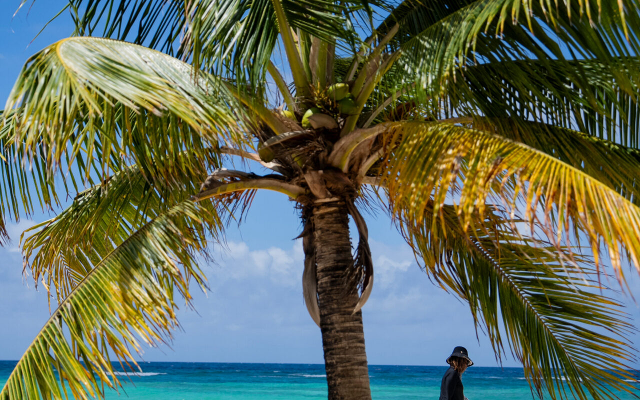 To Understand the American Revolution, a Writer Went to Barbados