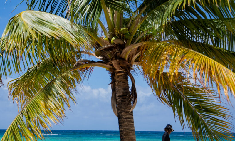 To Understand the American Revolution, a Writer Went to Barbados