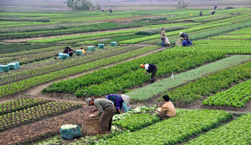 اليوم العالمي للتنوع البيولوجي.. دعوة عالمية لحماية توازن الحياة على الأرض