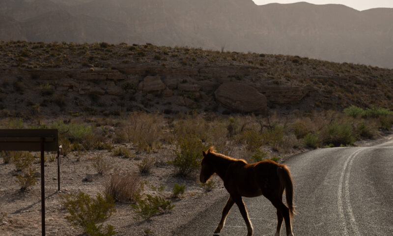 Trump Lifts Restrictions on Off-Road Vehicles on Public Lands