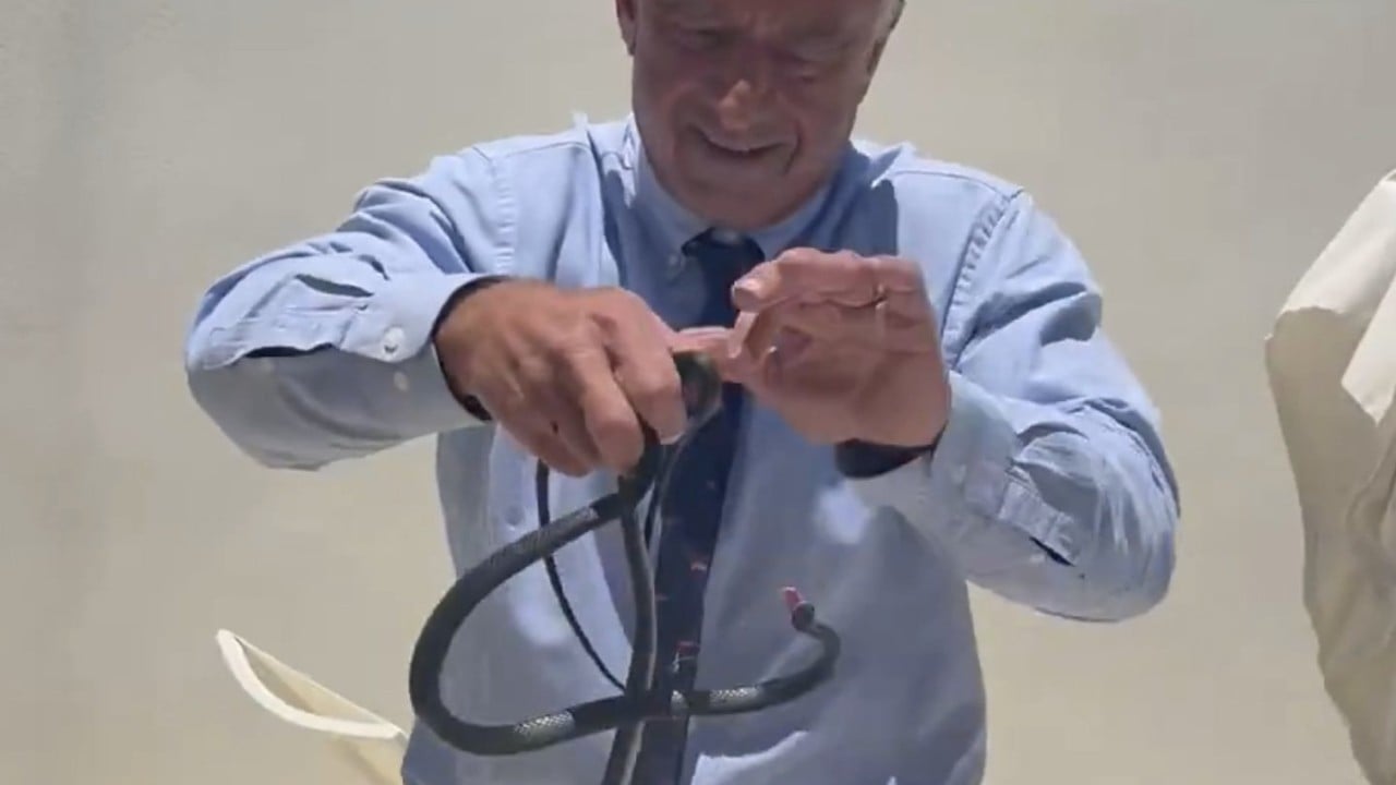 RFK Jnr posts video of him grabbing 2 snakes, as his wife asks ‘why?’