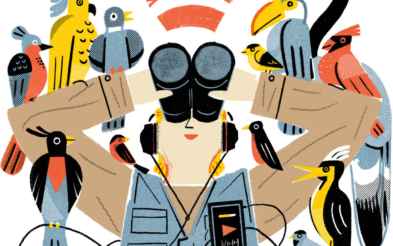 7 Podcasts About the Joys of Bird-Watching