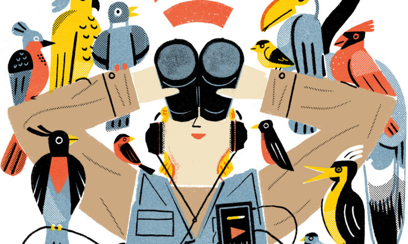 7 Podcasts About the Joys of Bird-Watching