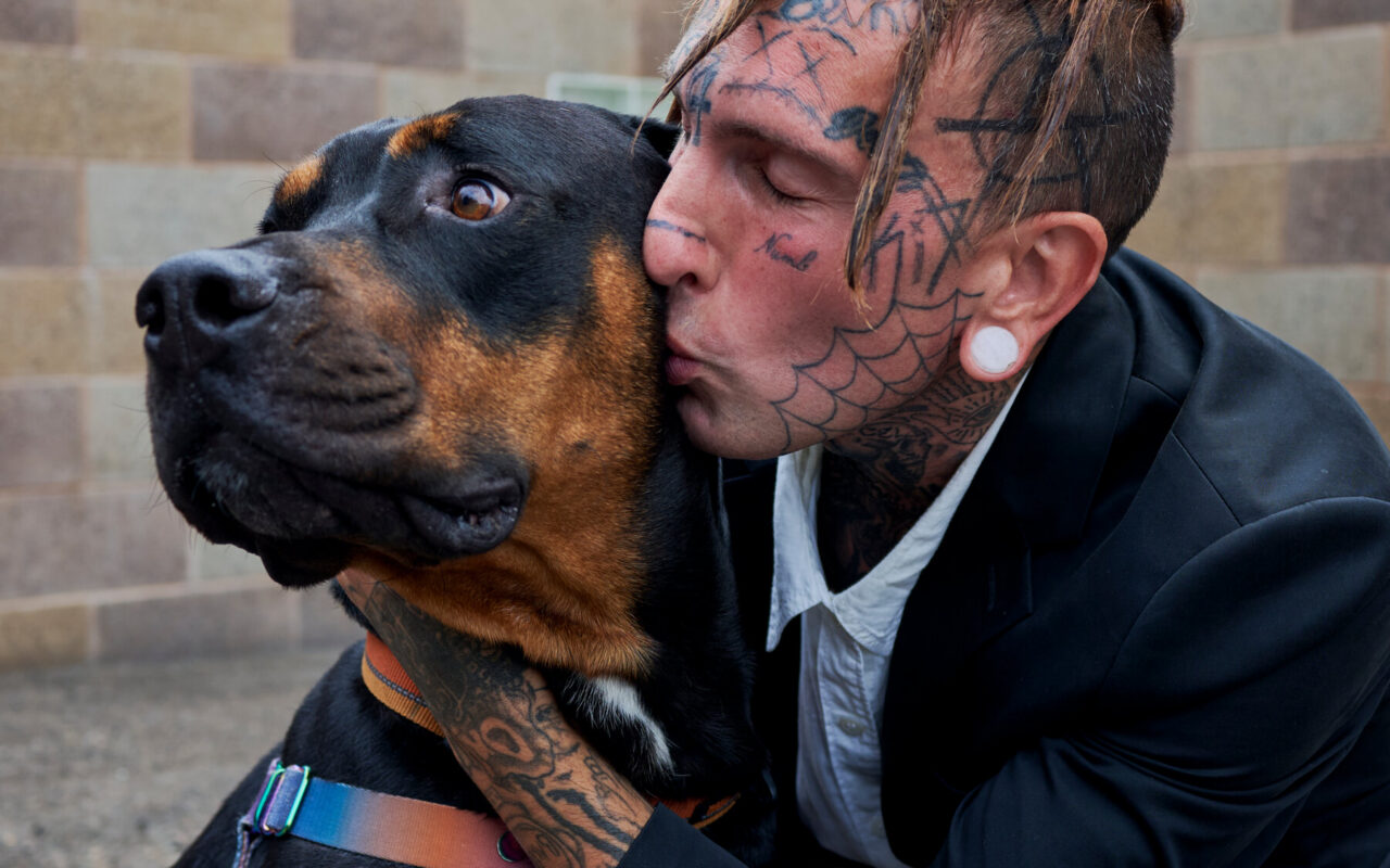 The Growing Movement for Shelters to Make Room for Pets