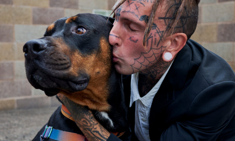 The Growing Movement for Shelters to Make Room for Pets