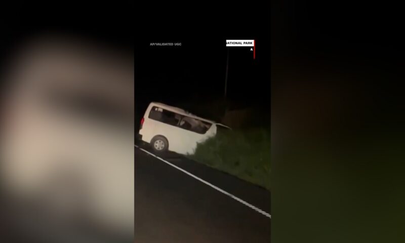 اصطدام حافلة بفيل.. شاهد اللحظات الدامية