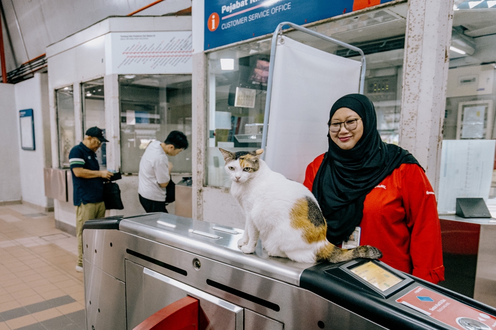 Rapid KL station cats: How Kenit, Adik, Lembu, and Cantik became local ‘maneki-neko’