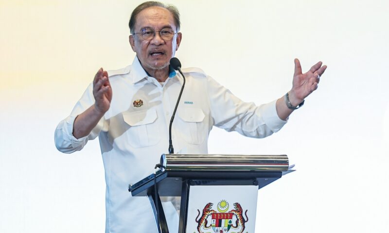 ‘We need the president’: Perak PKR urges Anwar to defend Tambun in next general election
