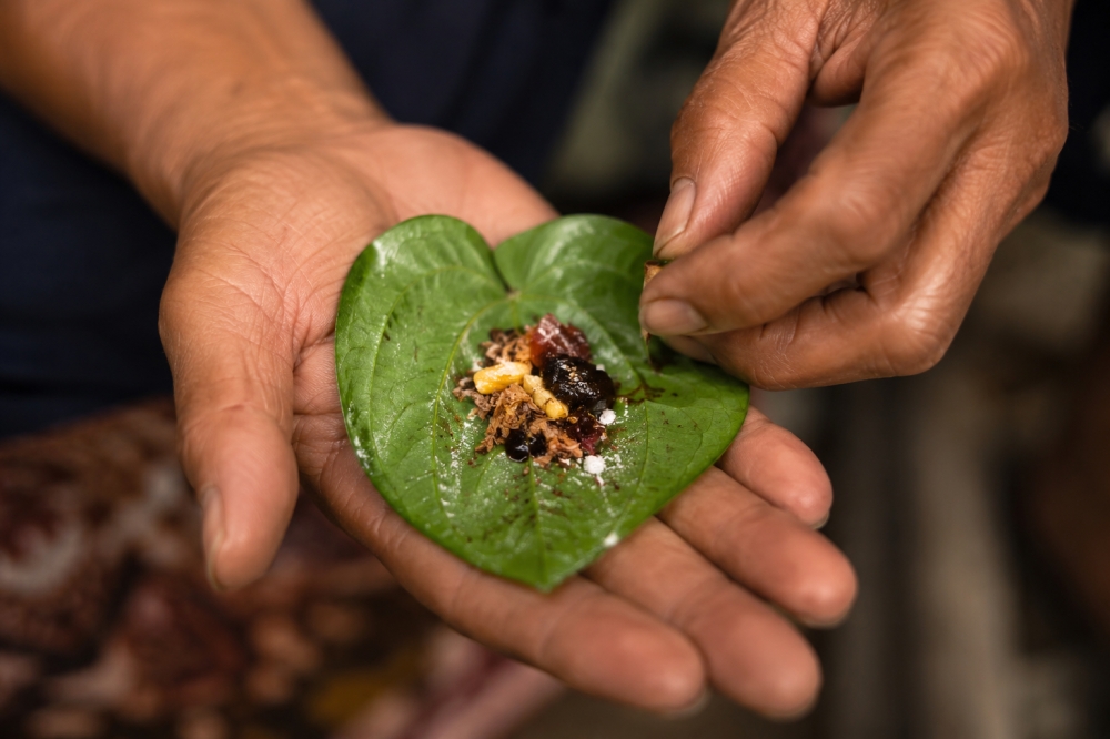 Once a daily ritual, betel chewing is fading fast among Malaysia’s Orang Asli youth