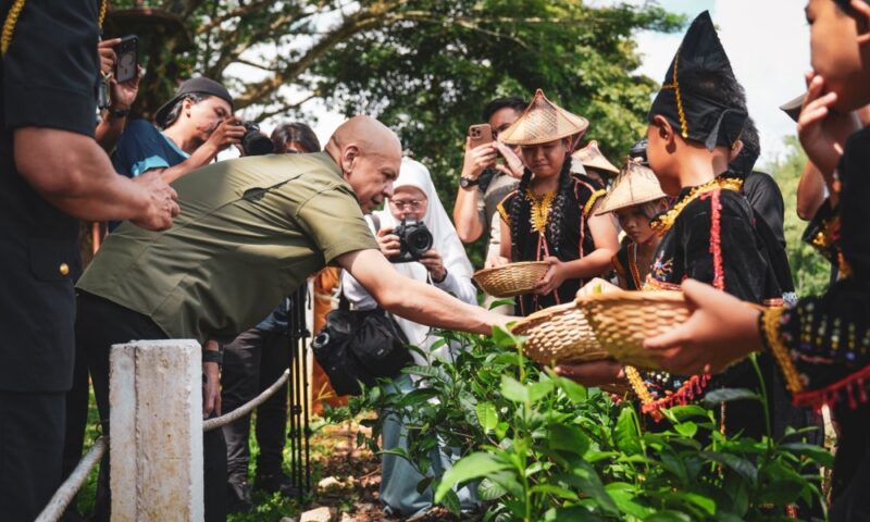 From seaweed to Sabah Tea, state eyes stronger IP push for local products