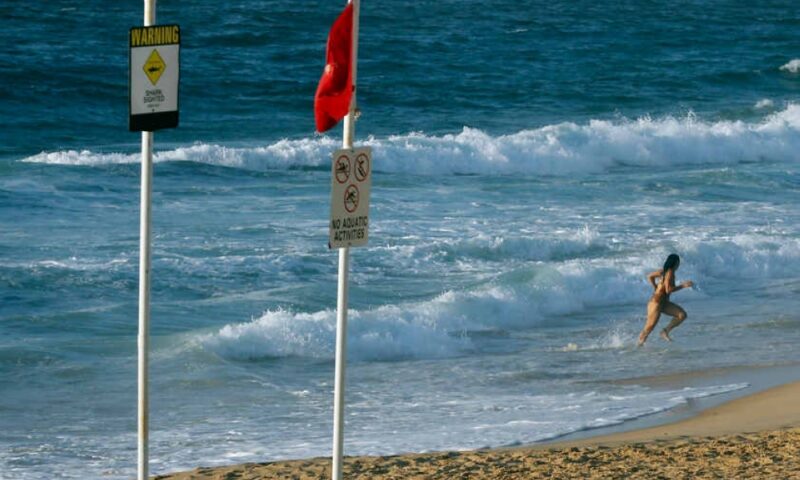 Shark kills man in Australia’s Queensland state
