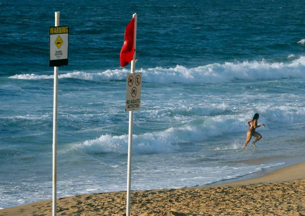 Shark kills man in Australia’s Queensland state