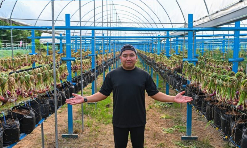 Malaysia wants fewer imported onions — and this 32-year-old farmer from Negeri Sembilan is stepping up