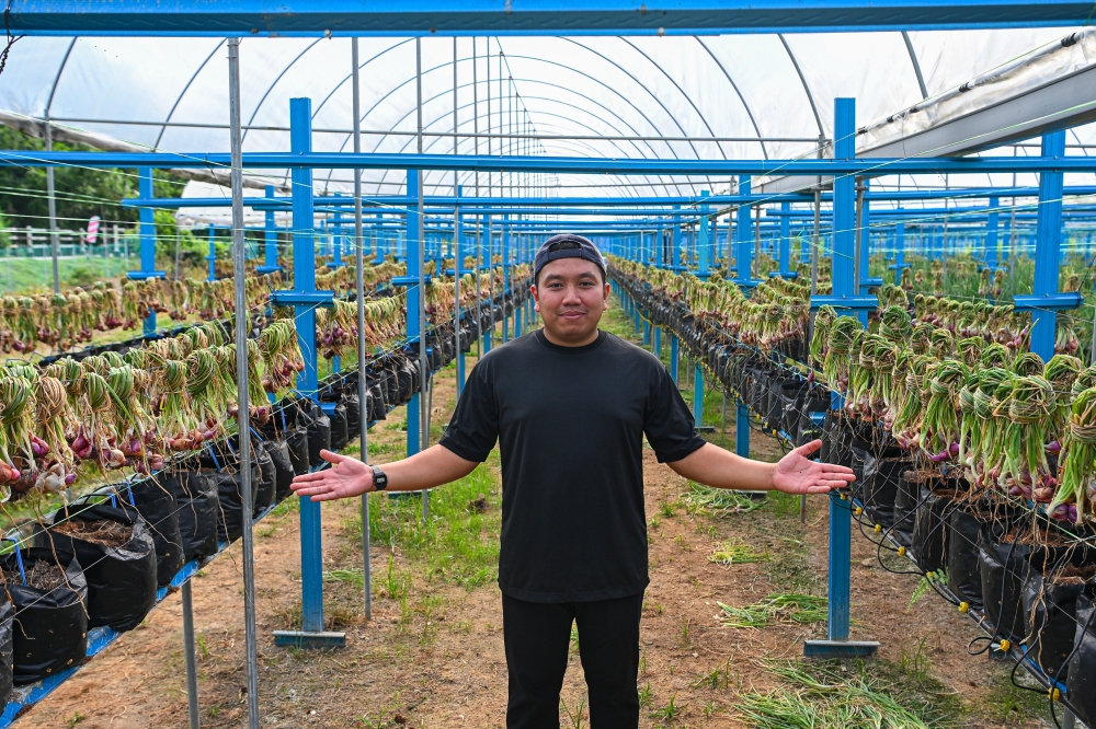 Malaysia wants fewer imported onions — and this 32-year-old farmer from Negeri Sembilan is stepping up