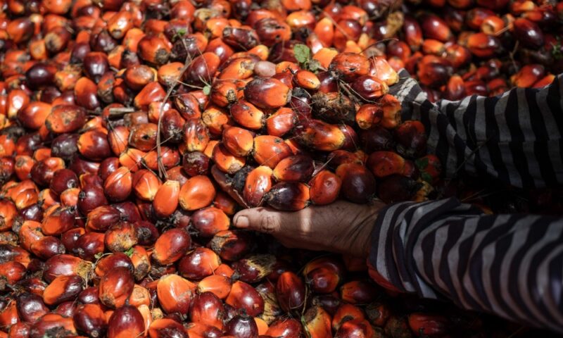 The palm oil peak is closing in sooner than we think — Ahmad Ibrahim