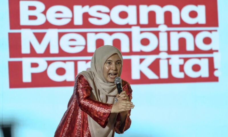 PKR replaces Nurul Izzah as co-election director with Amirudin Shari