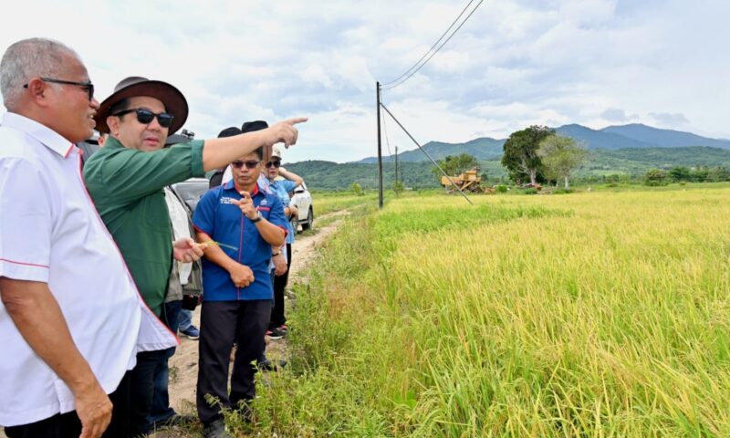High potential for Sabah to cultivate corn to reduce import of animal feed, says minister