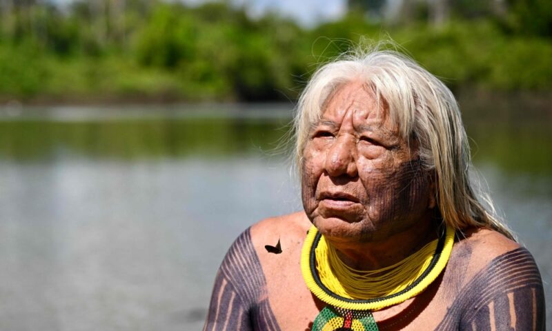 Brazil’s Indigenous leader Megaron warns of illegal gold mining threat to Amazon territories