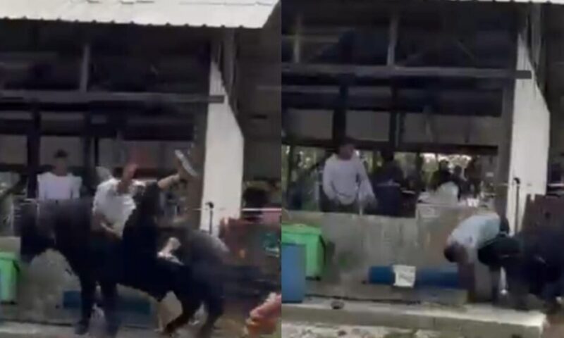 Man reportedly gored to death by runaway buffalo in Johor, attack video goes viral