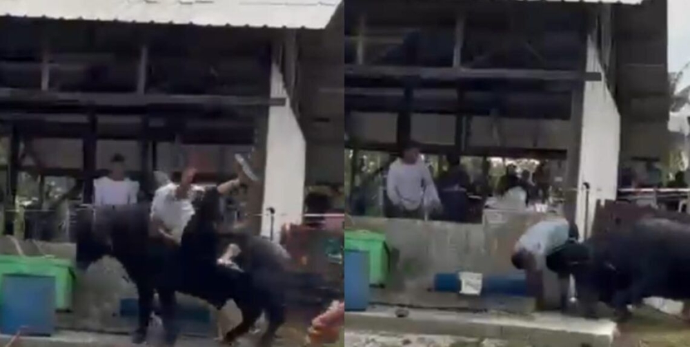 Man reportedly gored to death by runaway buffalo in Johor, attack video goes viral