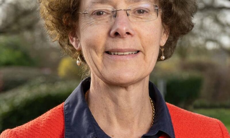 Ros Rivaz appointed to ICC board as independent director