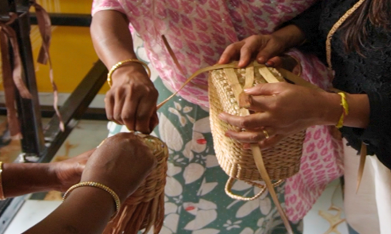 From weed to wealth: Assam women turn water hyacinth into livelihoods near rhino habitat