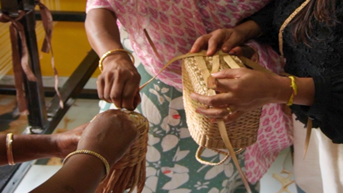 From weed to wealth: Assam women turn water hyacinth into livelihoods near rhino habitat
