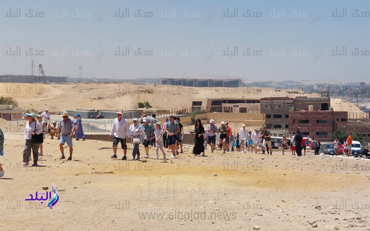 100 جنيه بدل 2000| كيف يتم تهريب تذاكر للأجانب للأماكن الأثرية بمبالغ زهيدة.. فيديو