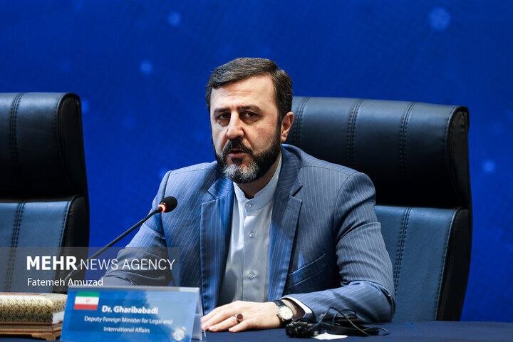 غريب آبادي: غزة اختبار لمدى التزام الحكومات بالقانون الدولي