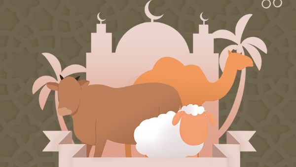 ما يسن للمضحي فعله عند الأضحية؟.. الإفتاء توضح