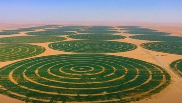 مشروع القرن الزراعي.. طه عاشور يوضح أبعاد الدلتا الجديدة ودورها في الأمن الغذائي