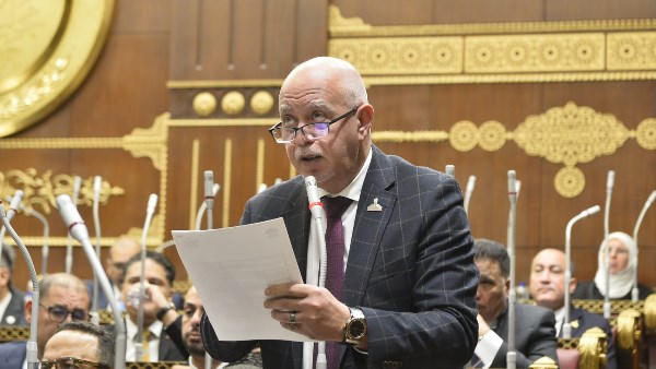 برلماني: كلمة الرئيس السيسي في يوم أفريقيا ترسم مرحلة جديدة من البناء والتنمية المستدامة