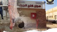 التشغيل التجريبي لمجزر كلح الجبل بأسوان بتكلفة 21 مليون جنيه استعدادًا لعيد الأضحى