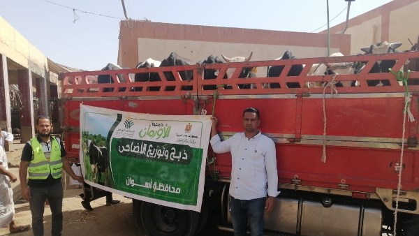 جمعية الأورمان تستعد لنحر 2000 عجل بلدى خلال أيام التشريق