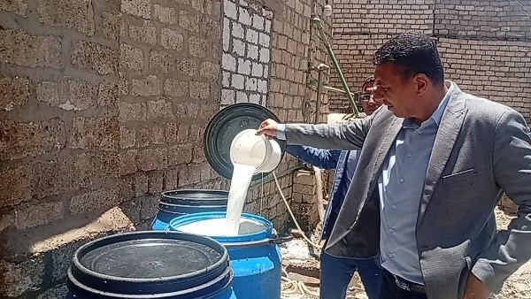 ضبط 2 طن ألبان فاسدة ومواد كيميائية محظورة داخل 4 معامل ومصنع جبنة بالمنيا.. صور