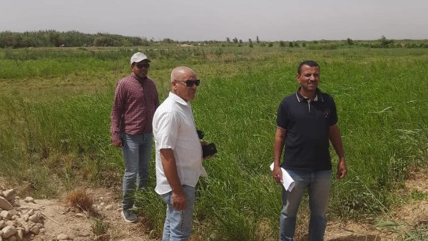 شائعة الكولا.. سوهاج تكشف حقيقة ري الخضراوات بمياه الصرف في أخميم