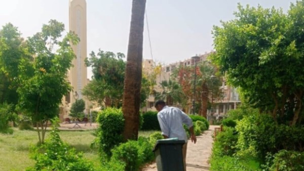 استعدادات مكثفة في مختلف القطاعات الخدمية بأسوان خلال عيد الأضحى المبارك